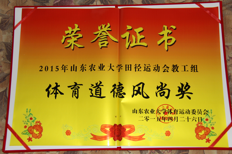 我院荣获体育道德风尚奖